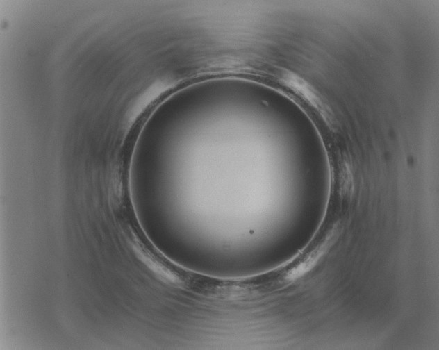 X0000075861458200609221743