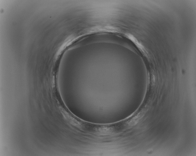 X0000075861459200609221743