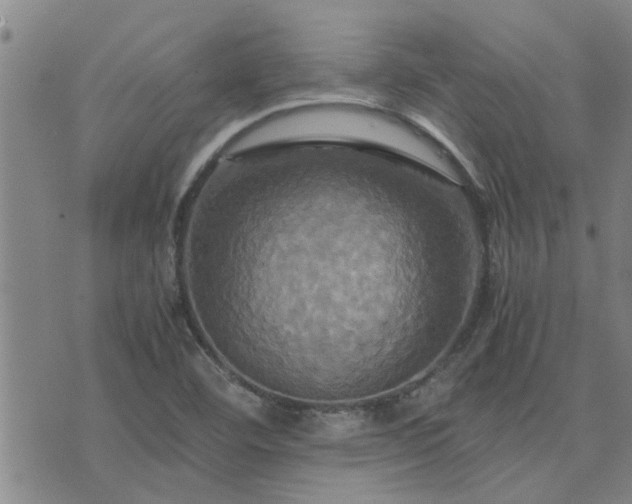 X0000075861460200609221743