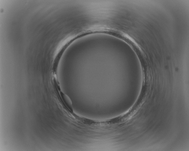 X0000075861461200609221743