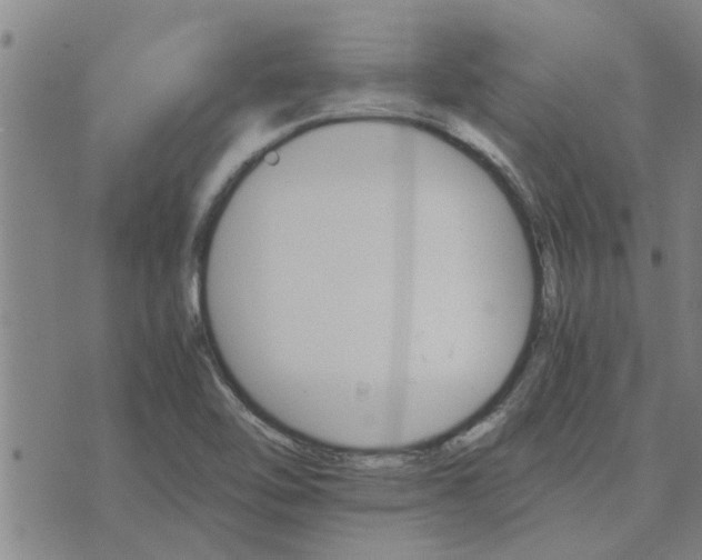 X0000075861462200609221743