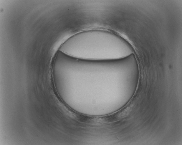 X0000075861463200609221743