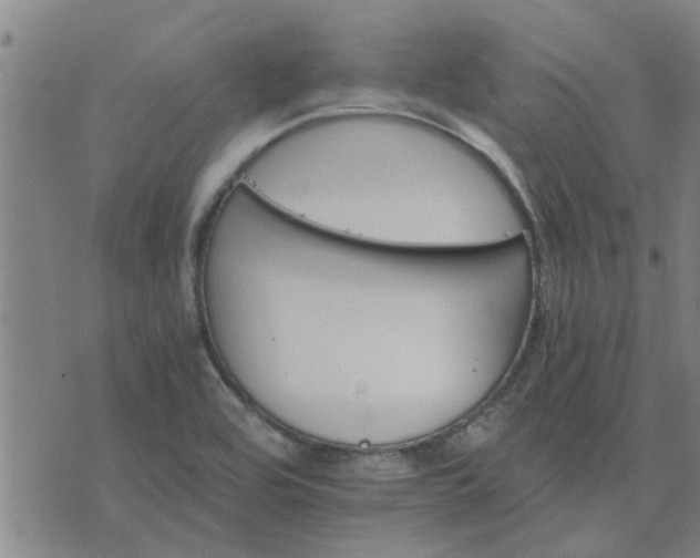 X0000075861464200609221743