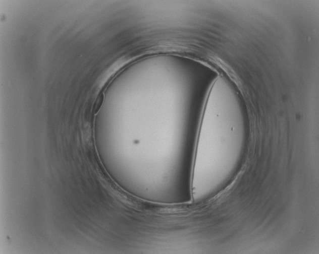 X0000075861465200609221743