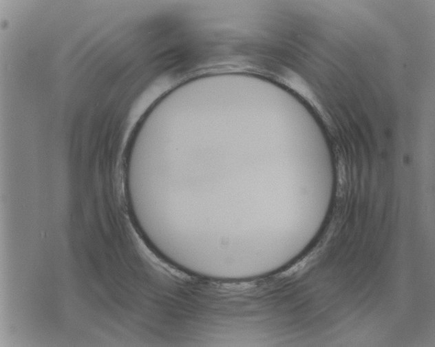 X0000075861466200609221743