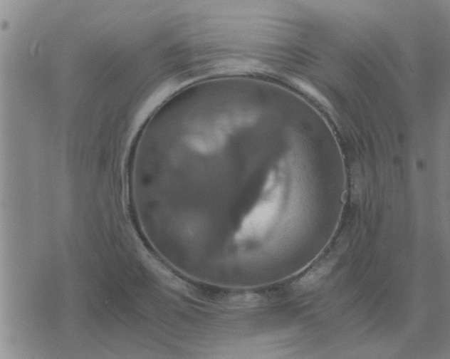 X0000075861467200609221743