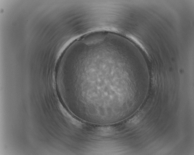 X0000075861468200609221743