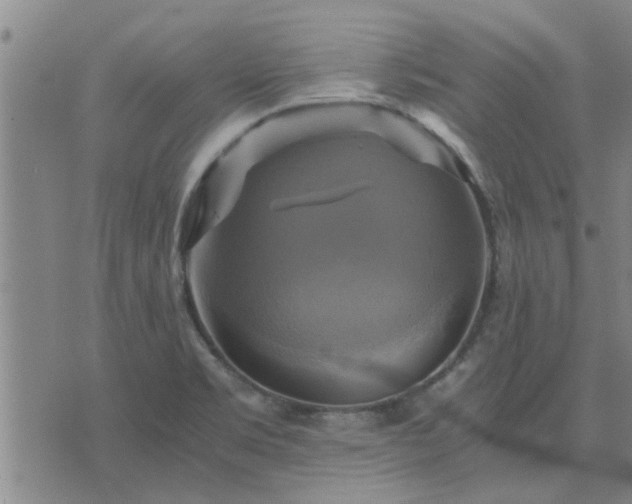 X0000075861469200609221743