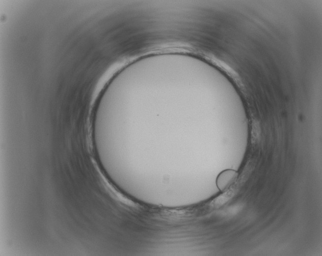 X0000075861470200609221743