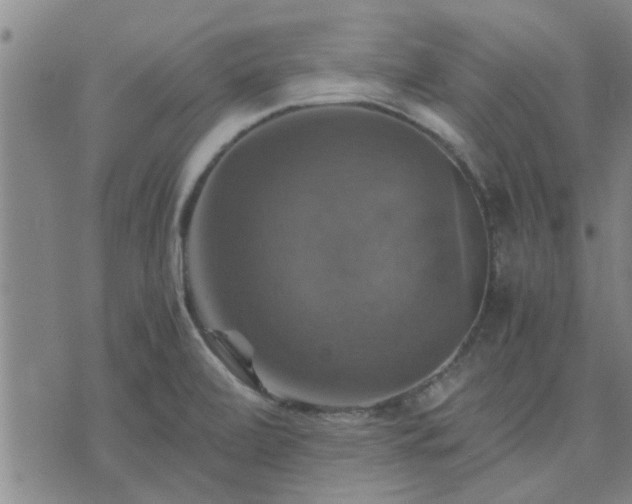 X0000075861472200609221743