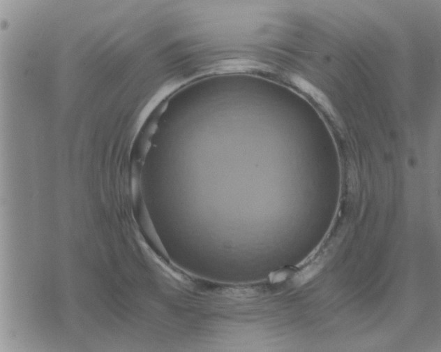 X0000075861473200609221743