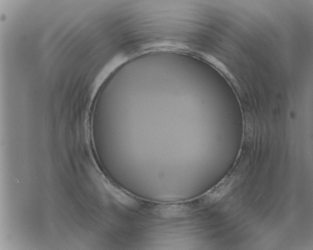 X0000075861474200609221743