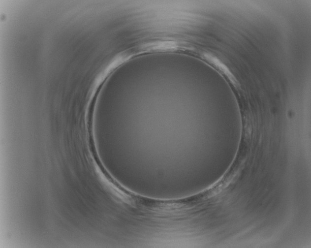 X0000075861475200609221743