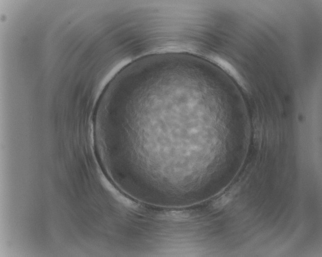 X0000075861476200609221743