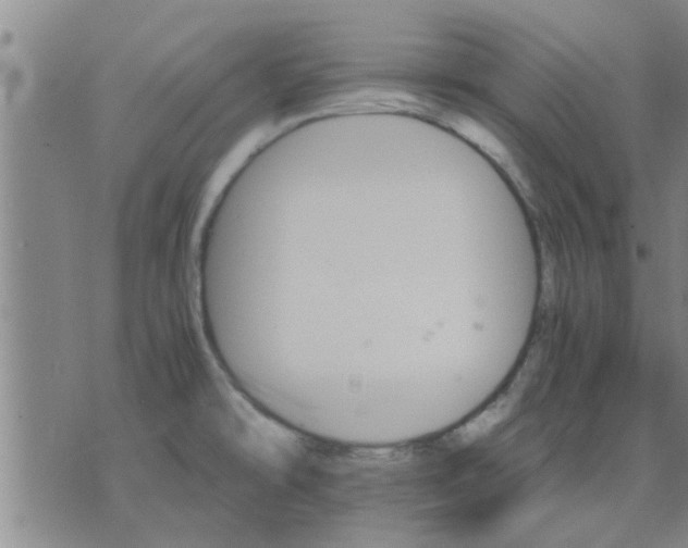 X0000075861478200609221743