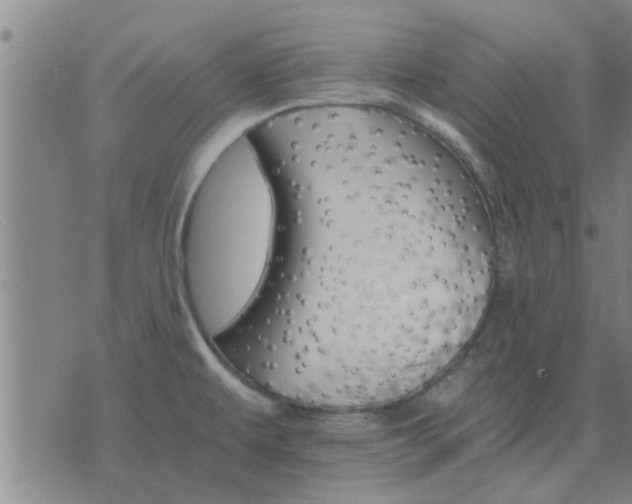 X0000075861479200609221743