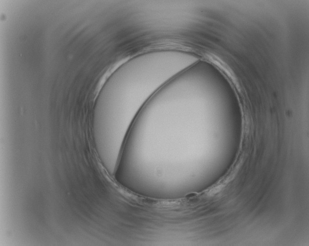 X0000075861481200609221743