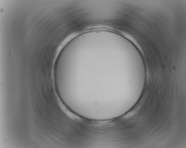 X0000075861482200609221743