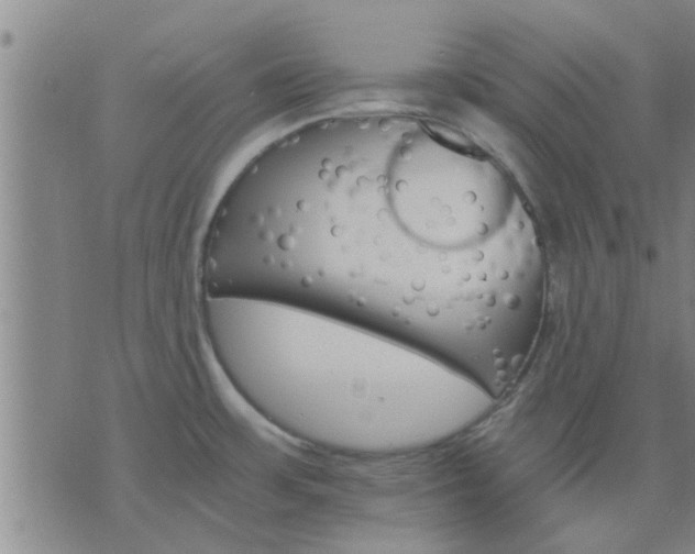 X0000075861483200609221743