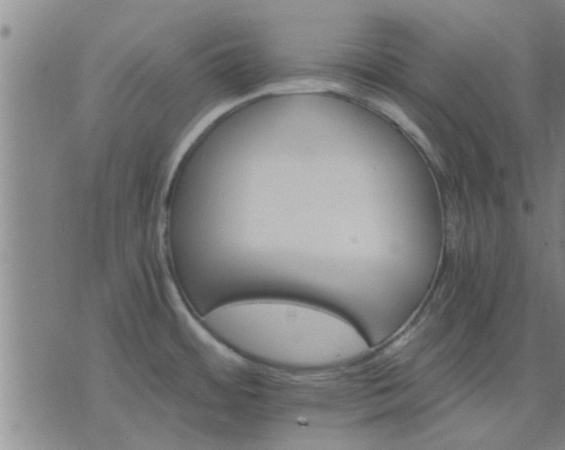 X0000075861484200609221743