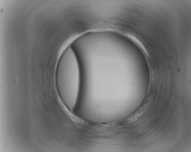 X0000075861485200609221743