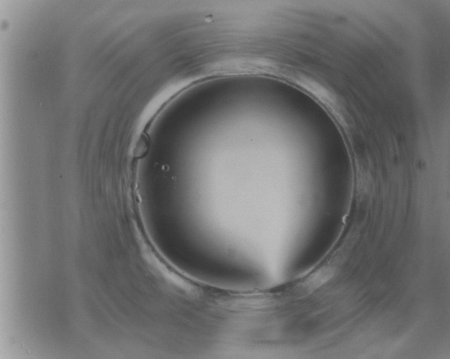 X0000075861486200609221743