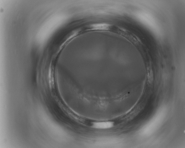 X0000075861487200609221743