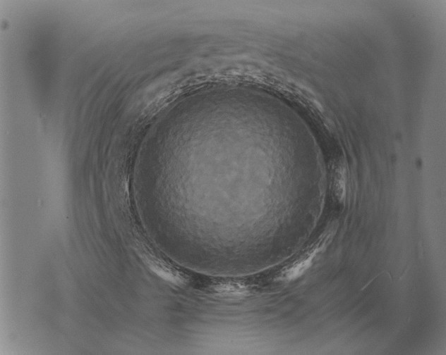 X0000075861489200609221742