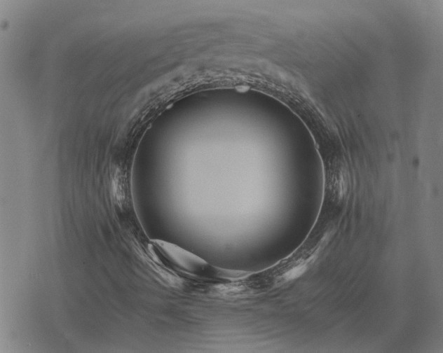 X0000075861490200609221742