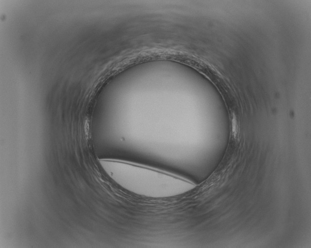 X0000075861492200609221742