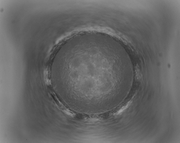 X0000075861494200609221742