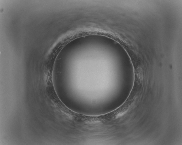 X0000075861495200609221742