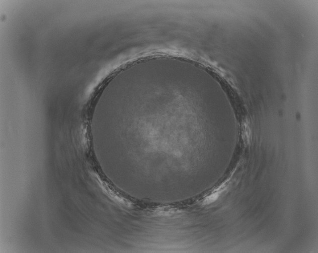 X0000075861496200609221742