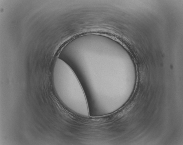 X0000075861497200609221742