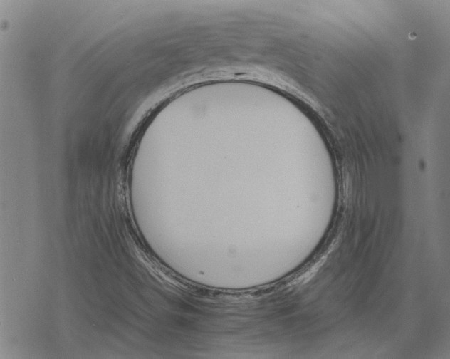 X0000075861498200609221742