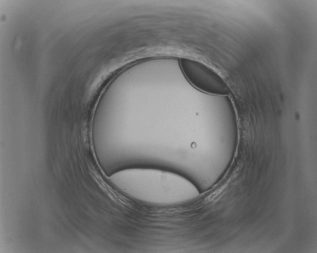 X0000075861499200609221742