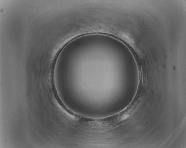 X0000075861500200609221742