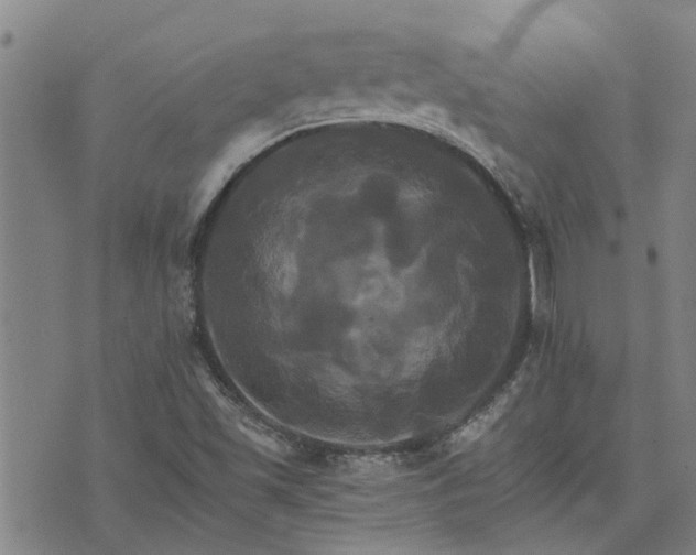 X0000075861501200609221742