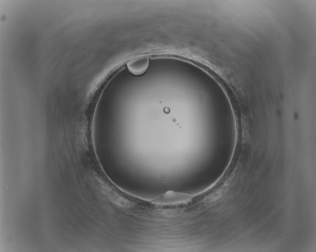 X0000075861502200609221742