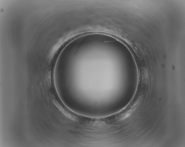 X0000075861503200609221742