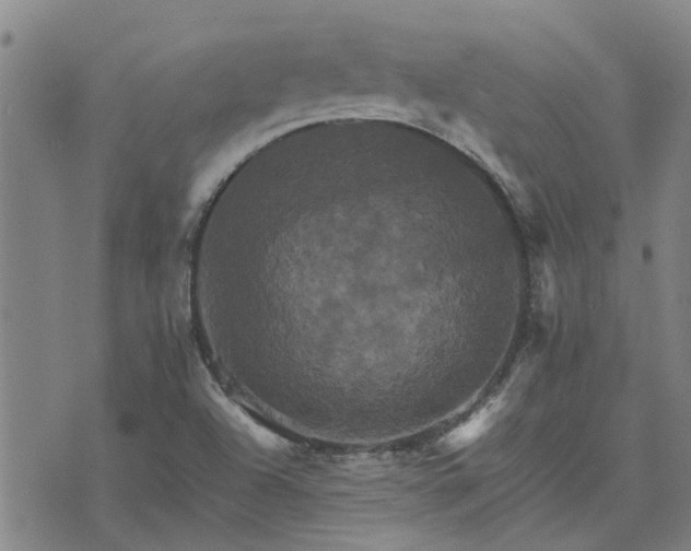 X0000075861504200609221742