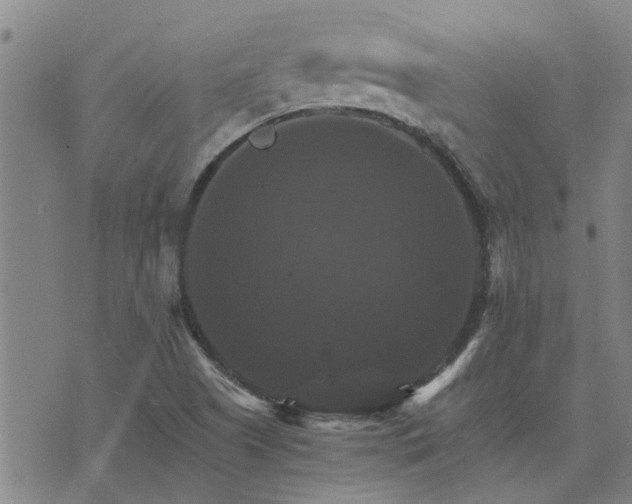 X0000075861505200609221742