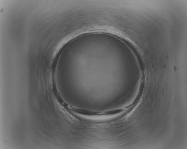 X0000075861506200609221742