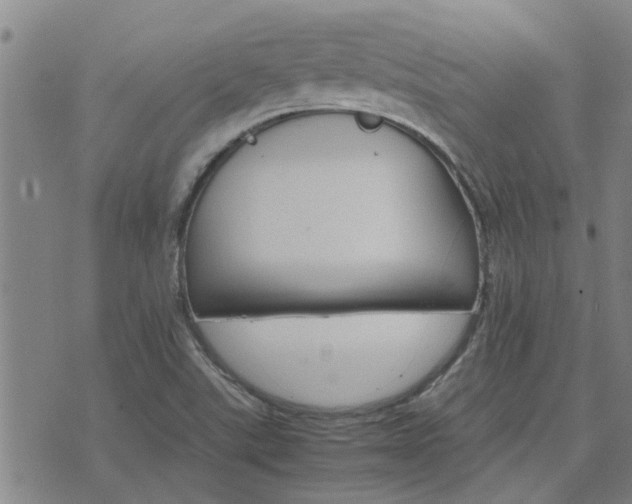 X0000075861507200609221742