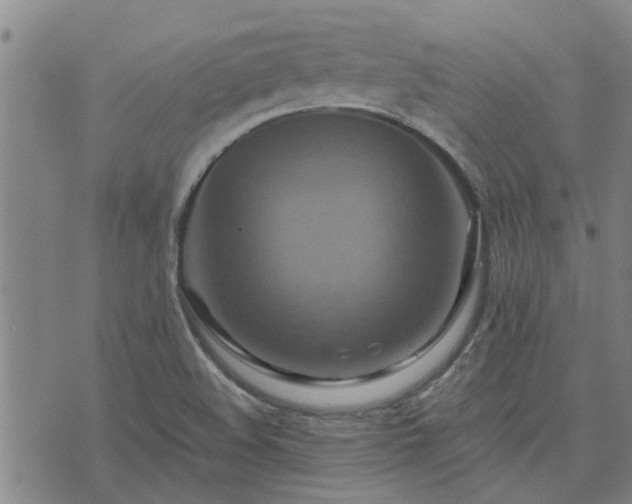 X0000075861508200609221742