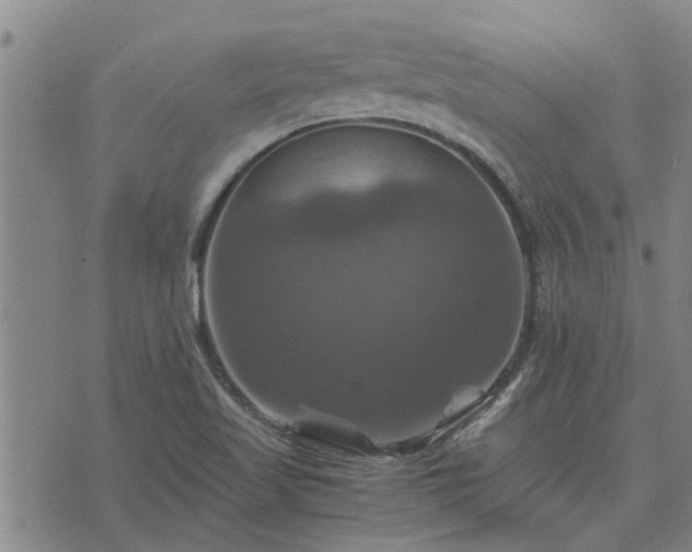 X0000075861509200609221742