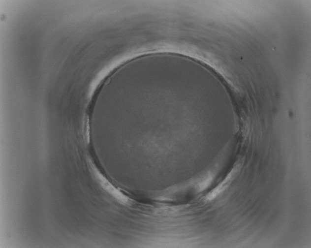 X0000075861510200609221742