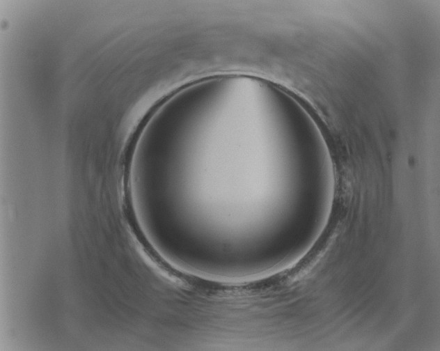 X0000075861511200609221742