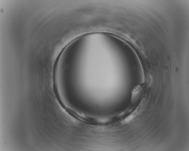 X0000075861512200609221742