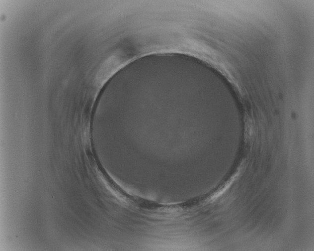 X0000075861513200609221742